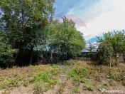 Teren intravilan cu fundație, proiect de casa, Avram Ian... 