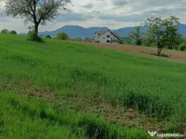 Satu Nou de Sus, 40 ari teren