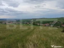 Teren extravilan 1249 mp in Copaceni! Oportunitate investiti