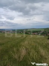 Teren extravilan 1249 mp in Copaceni! Oportunitate investiti