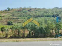 Teren intravilan pe deal Paulis, Arad