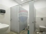 Hală industrială 5.000–12.000 mp de închiriat, Ghimbav 