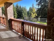 Pensiune 7 camere plus apartament zona Platos Paltinis 