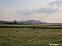 RECO parcele in Felcheriu