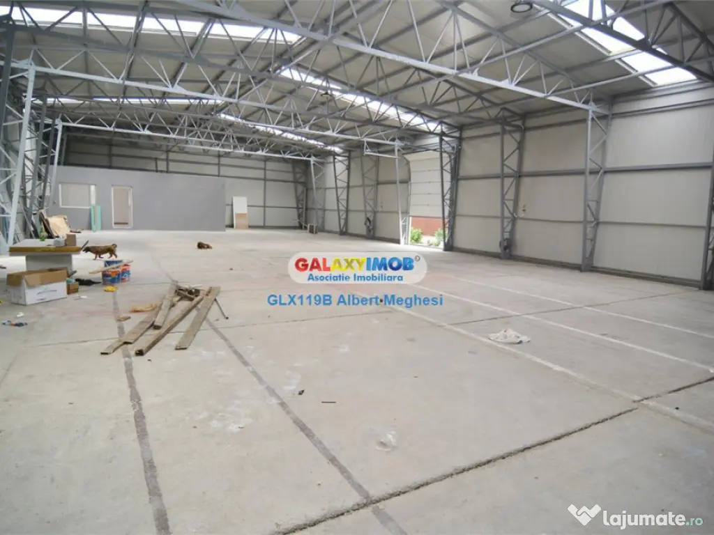 Hala 450 mp Popesti Leordeni platforma industriala