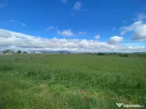 Teren extravilan, 7000mp, Cristian