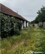 Teren 22ari în Martinesti