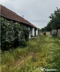 Teren 22ari în Martinesti