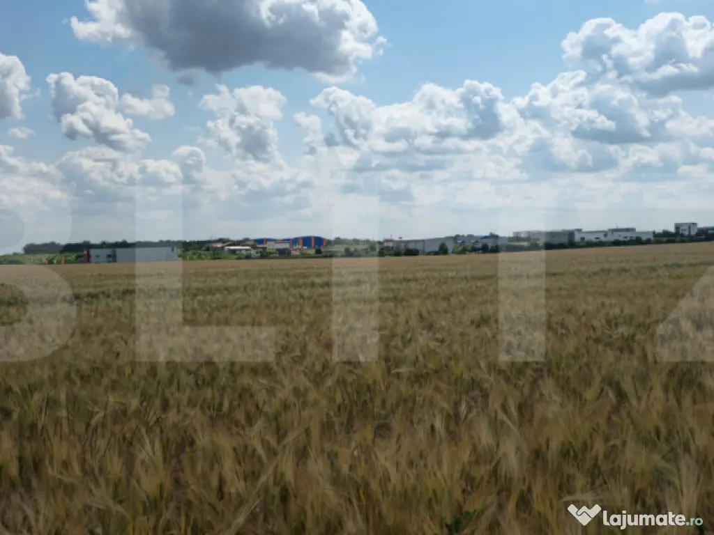 Teren Intravilan 2.829 mp, Zonă în Dezvoltare, Reprezentan