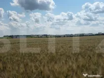 Teren Intravilan 2.829 mp, Zonă în Dezvoltare, Reprezentan