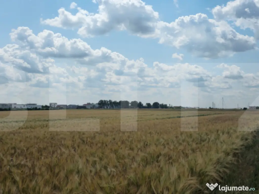 Teren Intravilan 2.829 mp, Zonă în Dezvoltare, Reprezentan