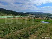Teren extravilan, de vanzare, 6500 mp, zona Crasnei