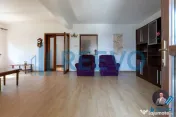 Casă/Vilă de vânzare Bogdan Vodă, Bacău 