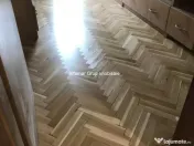 Vanzare Casa S P 1E Lacul Tei 