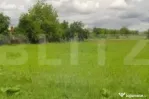 Teren extravilan la principala Calea Lugojului 5000 mp