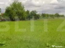 Teren extravilan la principala Calea Lugojului 5000 mp