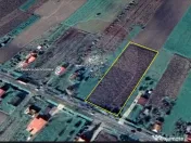 PRET WAUUU - TEREN INTRAVILAN - CIUPERCENI 