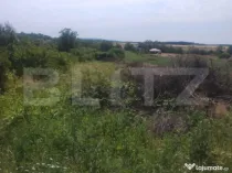 Teren intravilan Ardud Vii