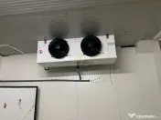 De inchiriat Camere Frigo Congelare/Refrigerare-Suprafete... 