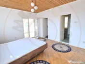 Casa Pitesti Exercitiu zona centrala 