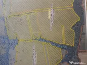 Oportunitate de investitie- teren Martinesti, Hunedoara 