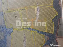 Oportunitate de investitie- teren Martinesti, Hunedoara