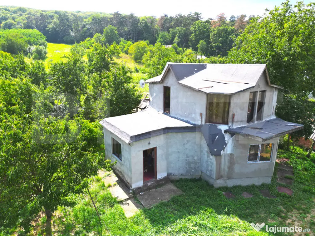 Casa intabulata in Dobrovat