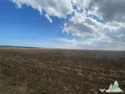 Teren extravilan in Mihail Kogalniceanu, Constanta 