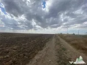 Teren extravilan in Mihail Kogalniceanu, Constanta 