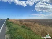 Teren extravilan in Mihail Kogalniceanu, Constanta 