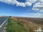 Teren extravilan in Mihail Kogalniceanu, Constanta 