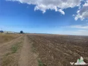 Teren extravilan in Mihail Kogalniceanu, Constanta 