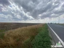 Teren extravilan in Mihail Kogalniceanu, Constanta