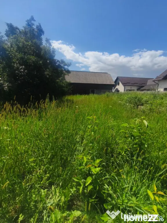 Teren intravilan, 10000mp, zona Maneuti, Radauti - Maneuti (Suceava)