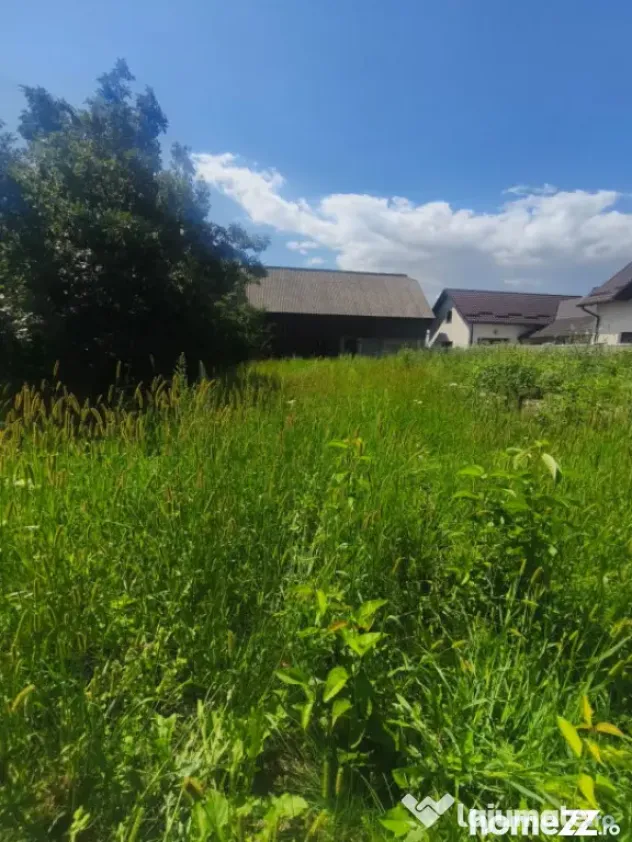 Teren intravilan, 10000mp, zona Maneuti, Radauti - Maneuti (Suceava)