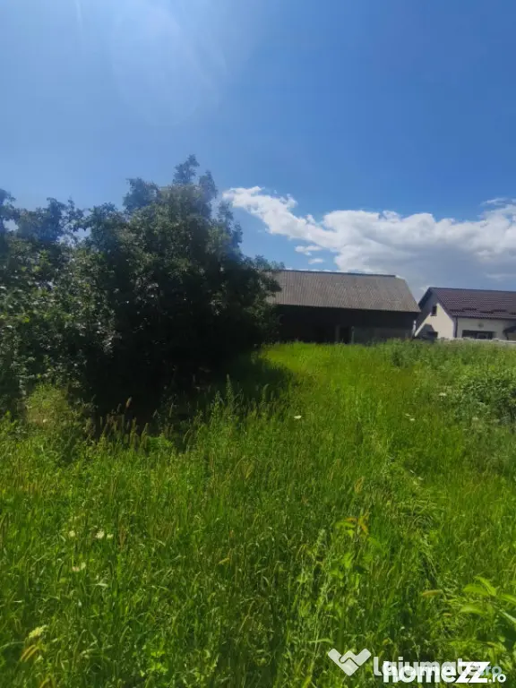 Teren intravilan, 10000mp, zona Maneuti, Radauti - Maneuti (Suceava)