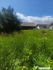 Teren intravilan, 10000mp, zona Maneuti, Radauti