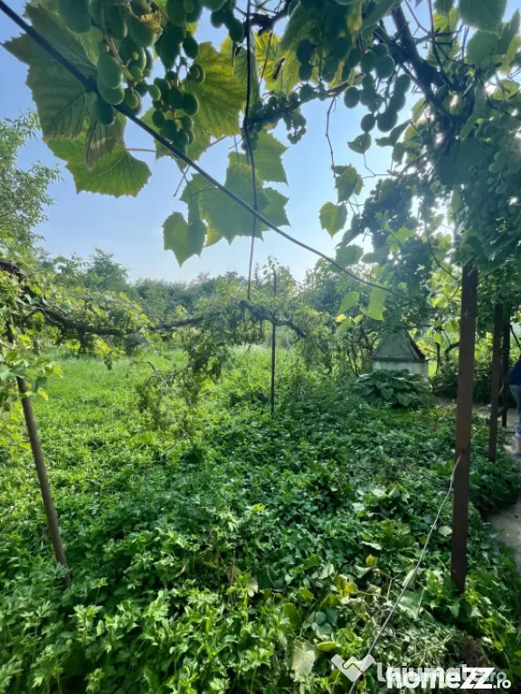 Casa individuala, 800 mp teren, Siret