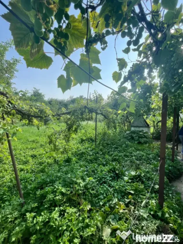 Casa individuala, 800 mp teren, Siret