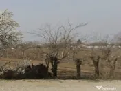 Teren centru Magurele 