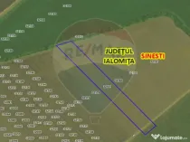 Teren 8,814mp Sinesti / Drumul Tarla 226/1