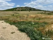 RECO teren de in zona Betfia 