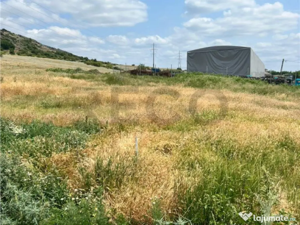 RECO teren de in zona Betfia