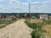 RECO teren de in zona Betfia 