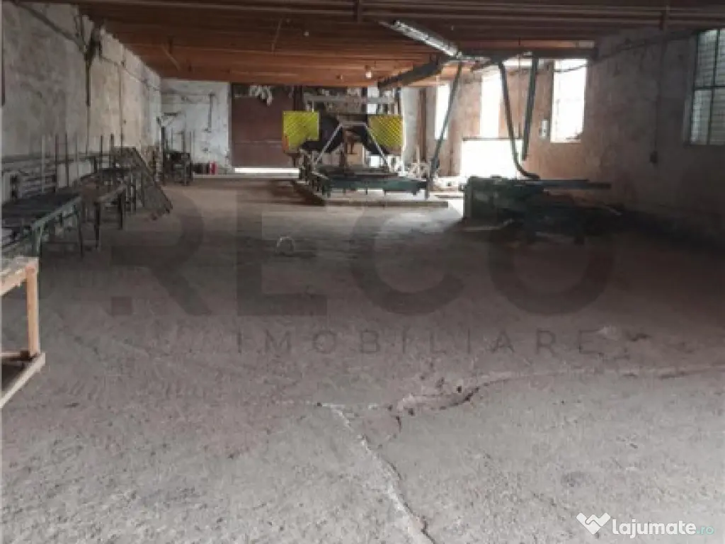 RECO Hale predestinate prelucrarea lemnului, loc. Auseu, sat