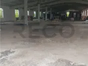 RECO Hale predestinate prelucrarea lemnului, loc. Auseu, sat 