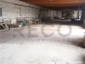 RECO Hale predestinate prelucrarea lemnului, loc. Auseu, sat 