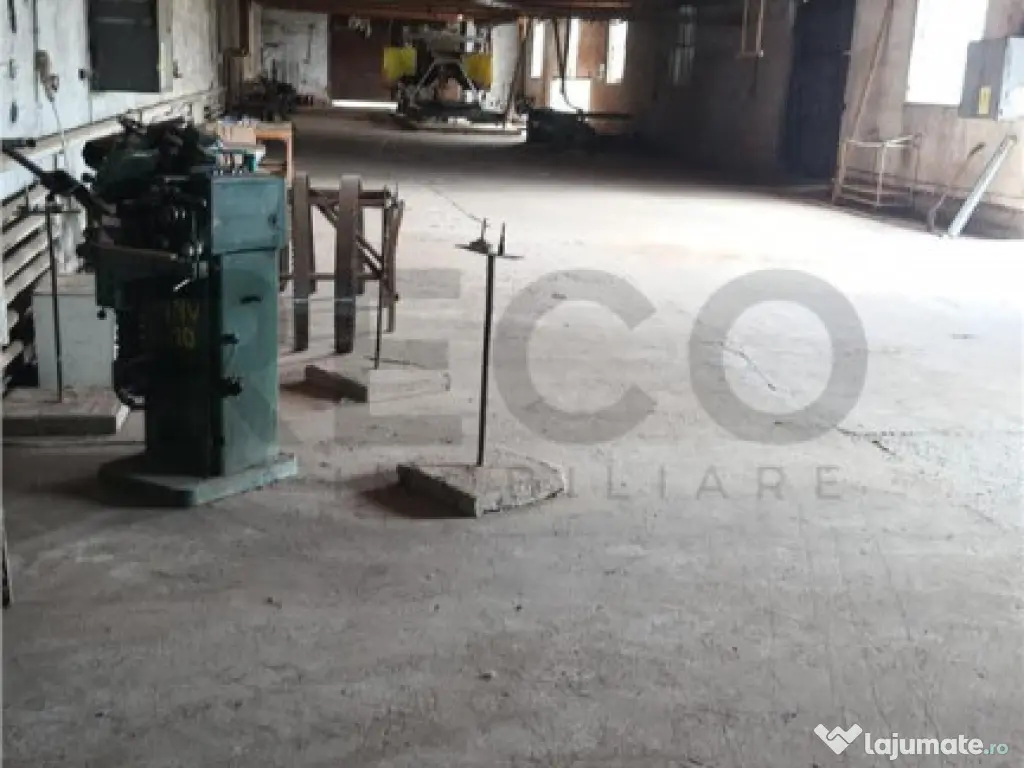 RECO Hale predestinate prelucrarea lemnului, loc. Auseu, sat