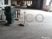 RECO Hale predestinate prelucrarea lemnului, loc. Auseu, sat 