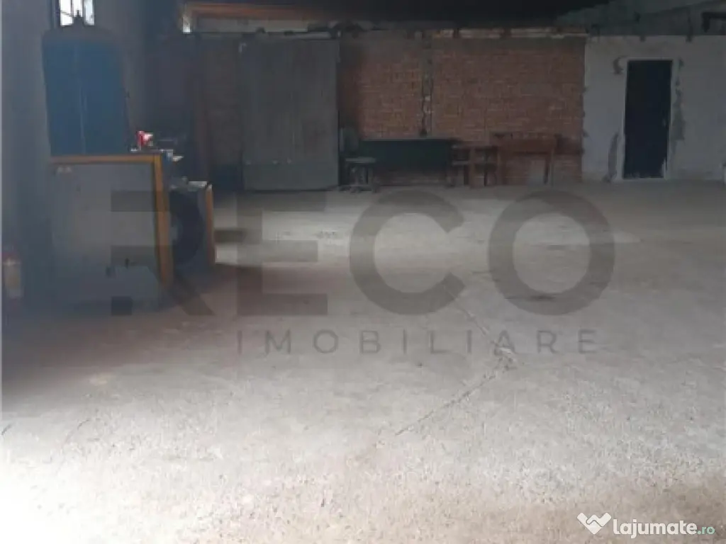 RECO Hale predestinate prelucrarea lemnului, loc. Auseu, sat